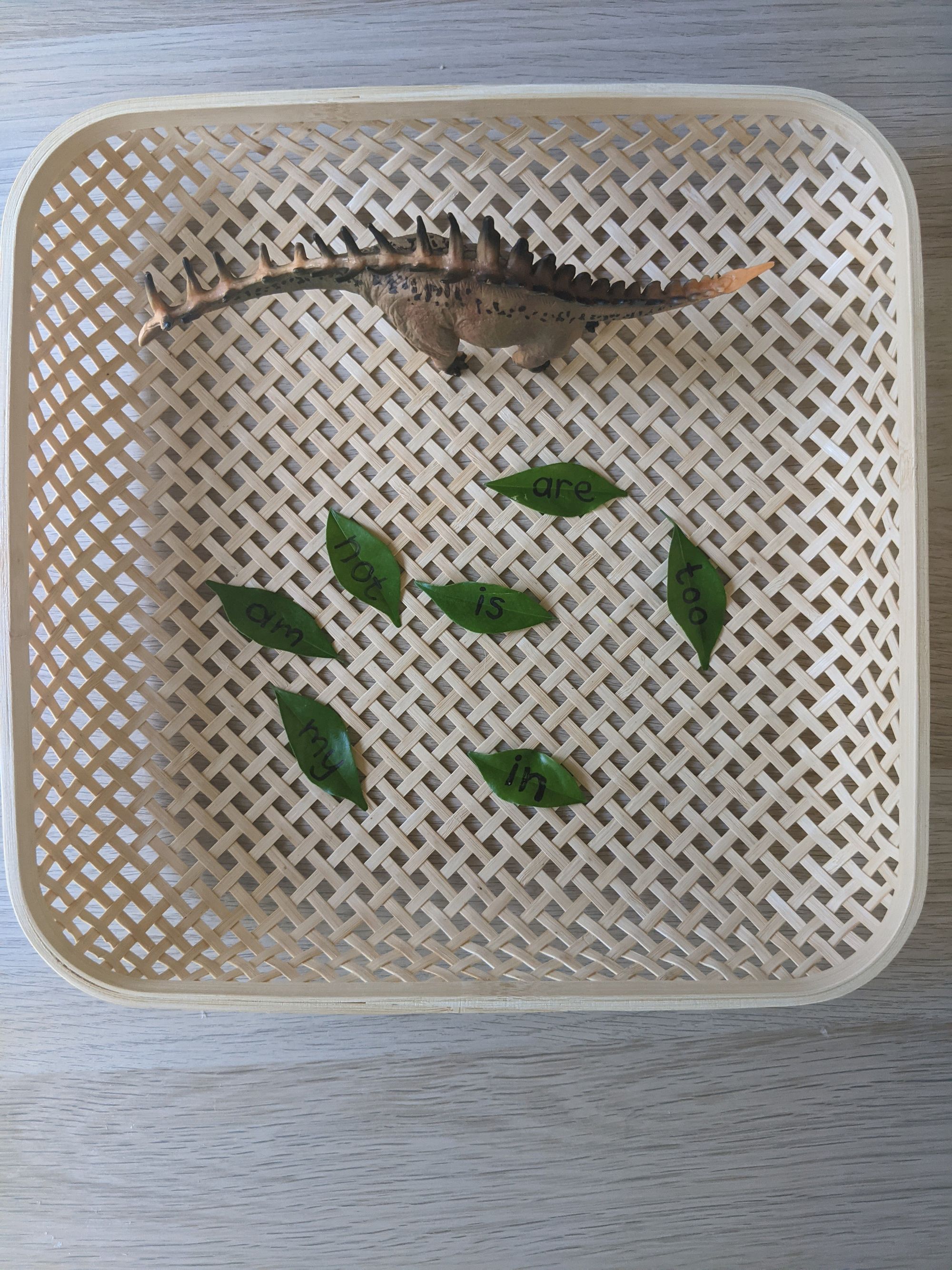 Sight words written on leaves, ready for a short practice